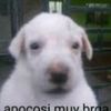 joel.garca277
