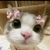 dayana678_