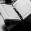 barakah_media_tv