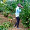 mwangi.wa.chifu