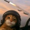 william_31633