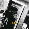 user87125935981268