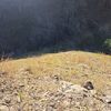 gael.hernandes74