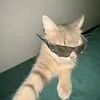 caroline_nunes_pereira1
