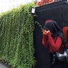 lily.anatasya2