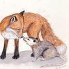 themossypossum