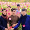 i.live.pakistan2