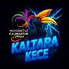 cello_kaltara5