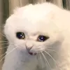 muhehehhegagoka