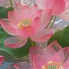ging.th.xinh32