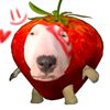 samu_2024_4