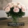 user96139037294033
