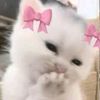 sara_loves252