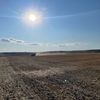 agro_394