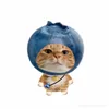 pbwen_trsonha2124