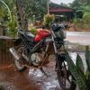taroy.roy