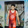 aslanwrest