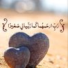 burhan.ahmed301