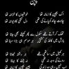 zubair.chandio051