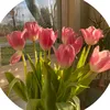 ruwmieyw_