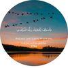 malakmohammed7048
