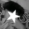 feb.fbzz