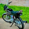 rais_hun_yarr