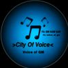 city.of.voice5