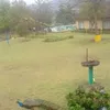 thandokazi.nkota