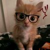 is_me_jules_