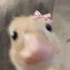 fish_fingersd8