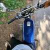 rx115sajid