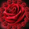 saniakhan.bbn1