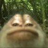 your_local_bot2.0