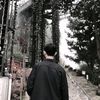 lizzyboys666