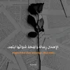 user3790660009255