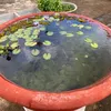 thanhorcry76