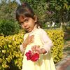 fakhar8299