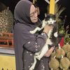 mamisantai