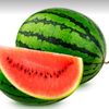 watermelon_kids0