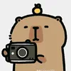 naraa.naraa816