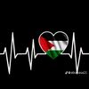 ahmad.mohi18