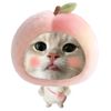 aishvan.lee