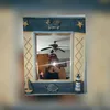 ginevra3088