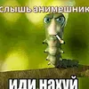 egorbisviditop