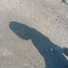 blxonmy1