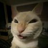 vnivin_2