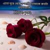 riyaakhtar497