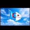 user7810441958190
