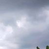 gendonn_02